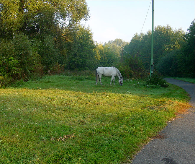 Hirschgarten