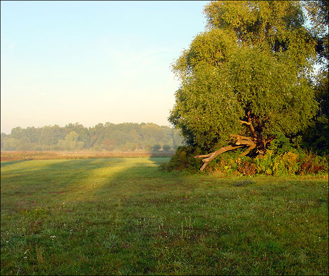 Hirschgarten