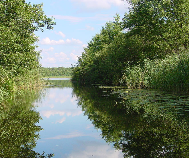 Vielfaeltige Wasserwege